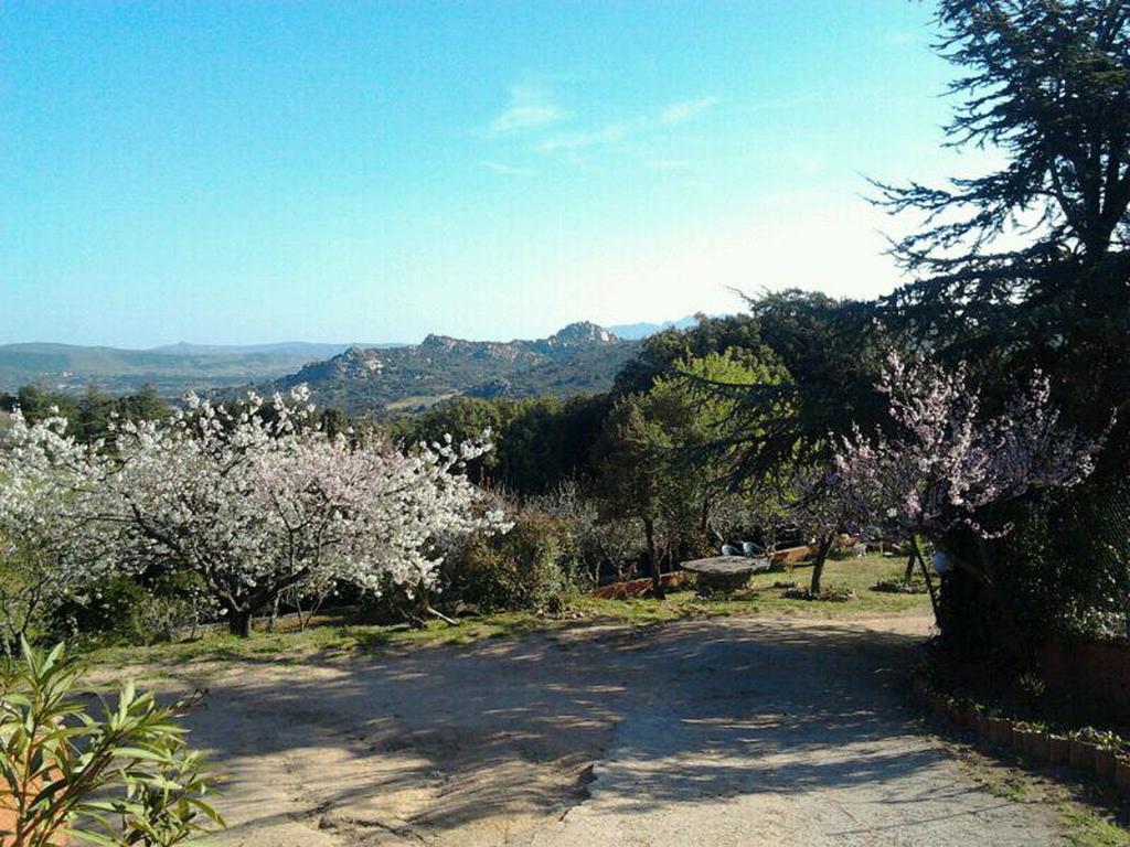 B&B La Tasgia Aggius エクステリア 写真